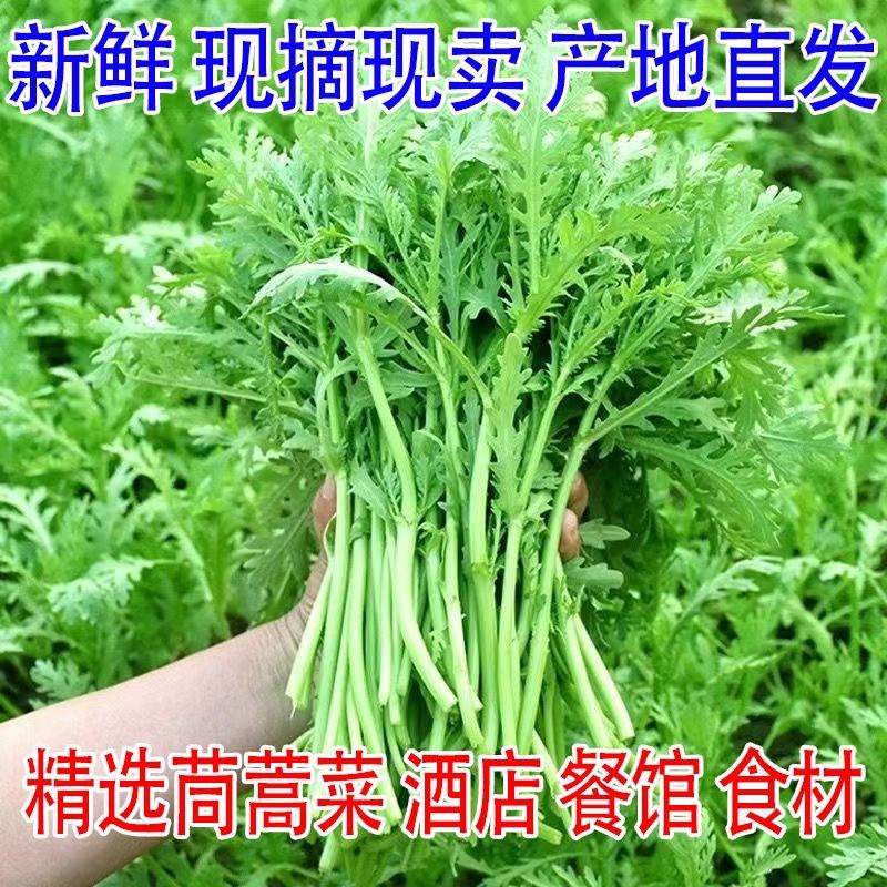 茼蒿，全国代办，产地直发，量大从优，欢迎来电