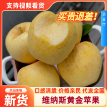 维纳斯苹果脆甜可口，价格优惠，品质保证，商超一件代发