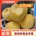 维纳斯苹果脆甜可口，价格优惠，品质保证，商超一件代发