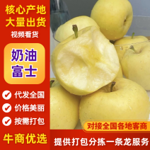 奶油富士苹果价格优惠，一件代发，社区团购。