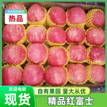 烟台红富士苹果规格全，价格优，承接各类渠道，商超代发