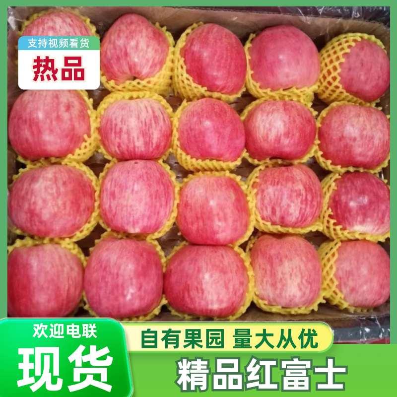 烟台红富士苹果规格全，价格优，承接各类渠道，商超代发