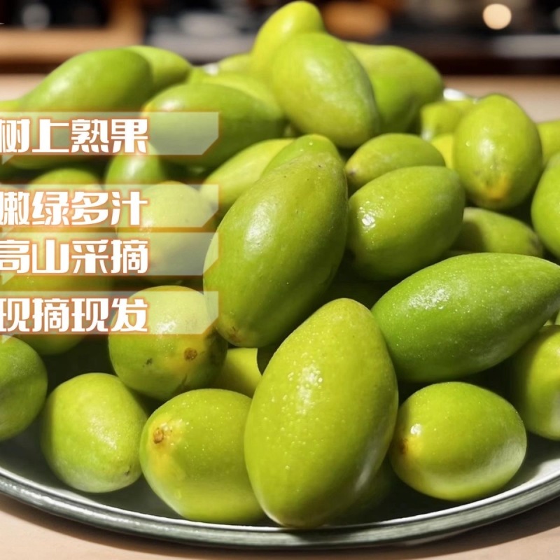 橄榄成熟正当季
