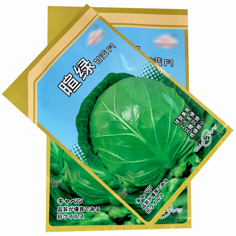 暄绿甘蓝种子球型美上下全绿又暄又绿黄心蔬菜基地种植