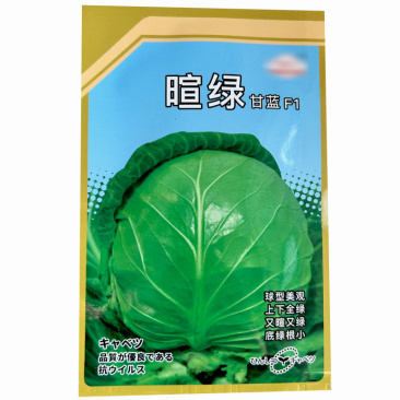 暄绿甘蓝种子球型美上下全绿又暄又绿黄心蔬菜基地种植