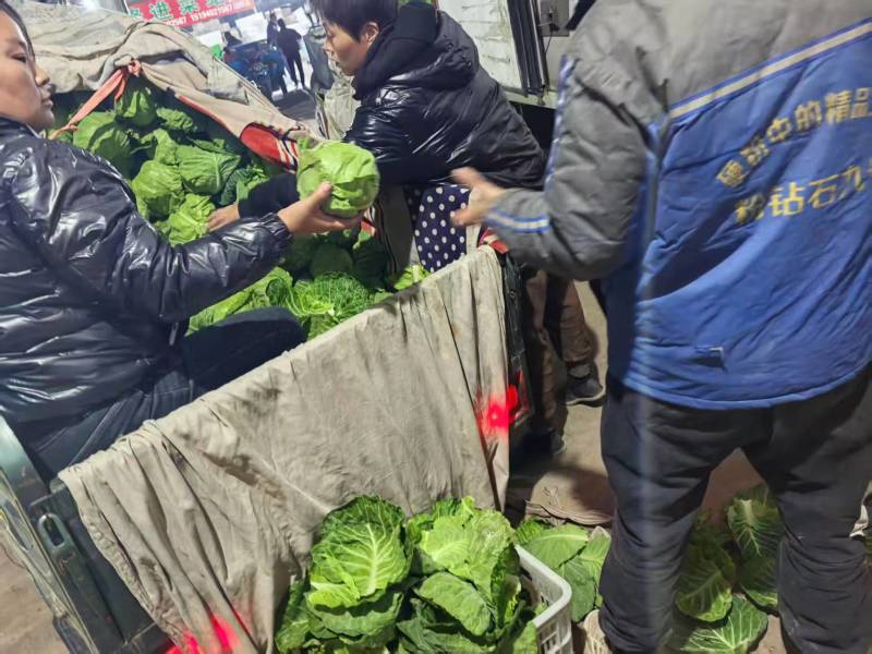 甘蓝【圆包菜】支持视频看货，可发往全国市场！