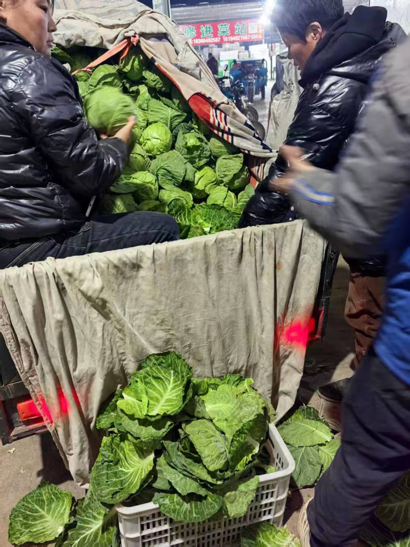 甘蓝【圆包菜】支持视频看货，可发往全国市场！