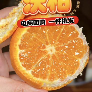 【广西沃柑】武鸣沃柑/一件代发/对接电商/日供应3万单