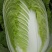 3-5斤黄心大白菜，翠绿清秀品相优良，货源充足，欢迎订购