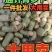 【河南萝卜】开封青萝卜/对接工厂全网商超/电商团购大甩卖