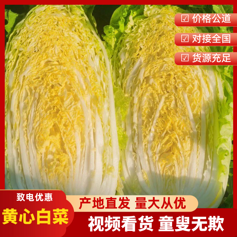 3-5斤黄心大白菜，翠绿清秀品相优良，货源充足，欢迎订购