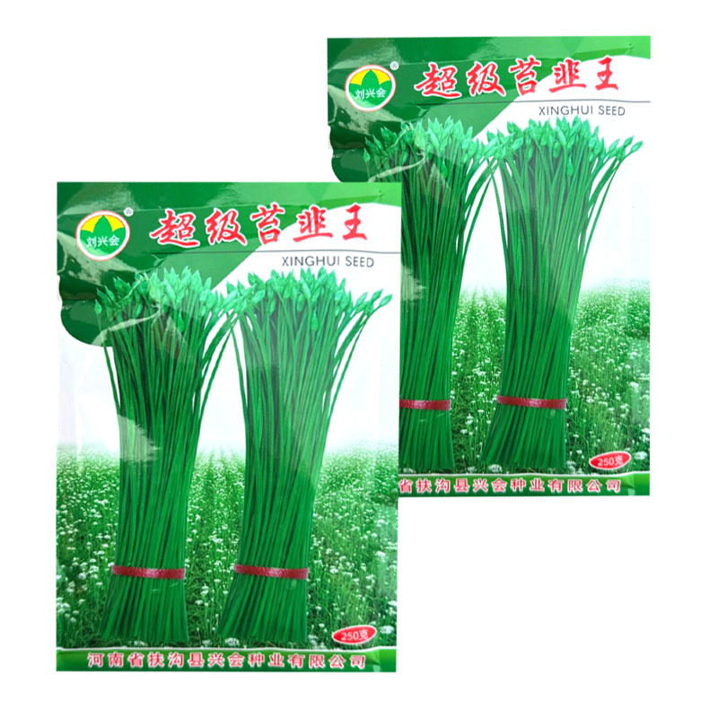 超级苔韭王韭苔种子抗病抗寒苔粗割青韭抽苔双型韭菜种籽
