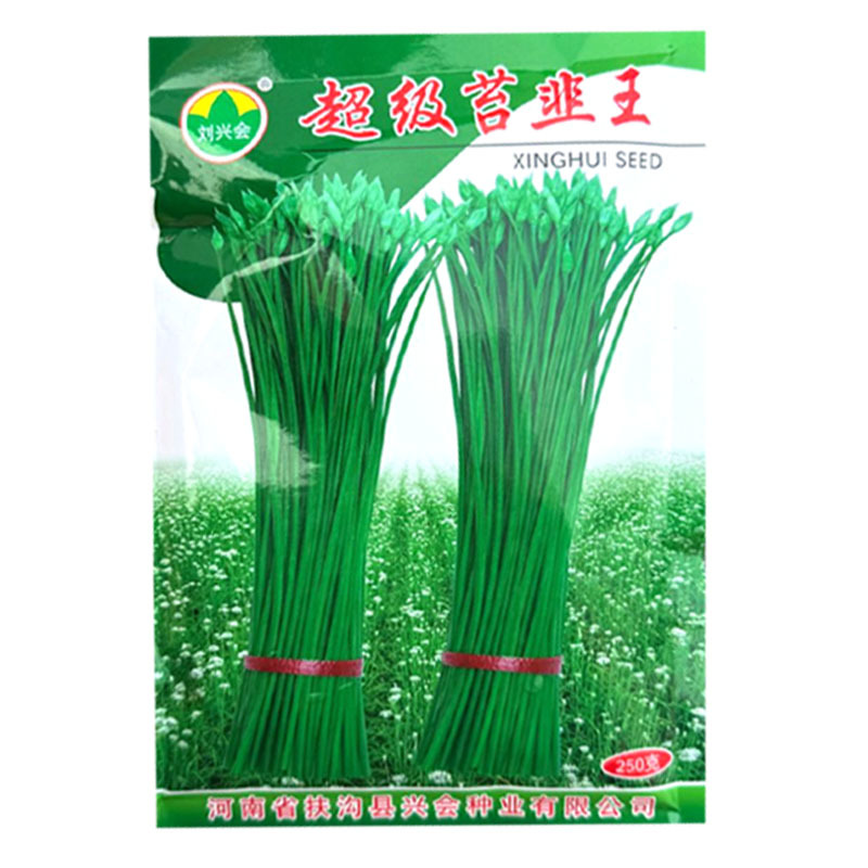 超级苔韭王韭苔种子抗病抗寒苔粗割青韭抽苔双型韭菜种籽