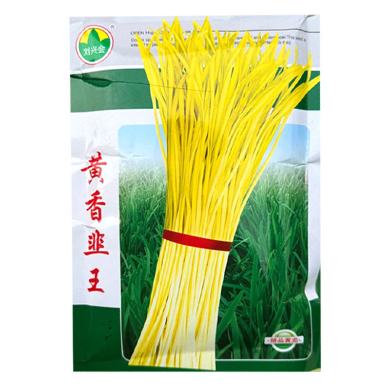 黄香韭王韭黄种子味鲜脆香耐寒耐高温分蘖力强茎粗抗倒伏