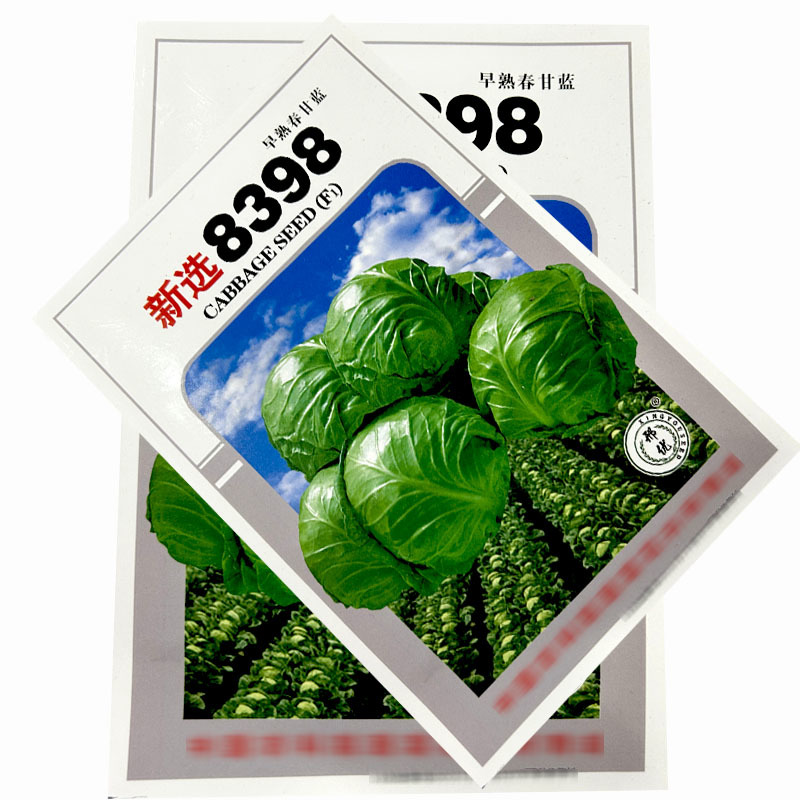 8398甘蓝种子叶质脆嫩圆球形叶球紧实抗烧心基地种