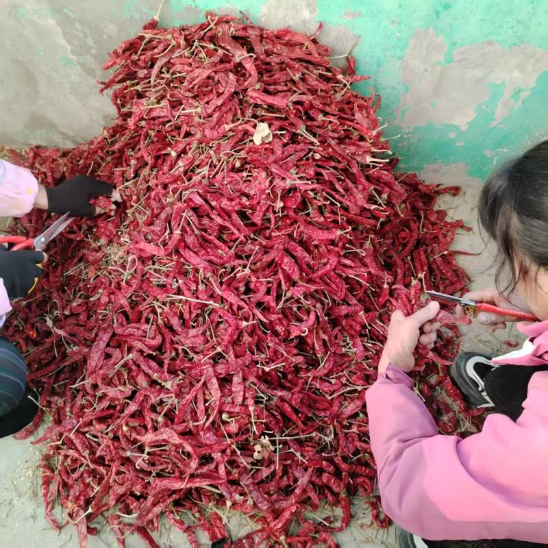 二荆条辣椒干辣椒精品发货规格齐全价格不一进店咨询