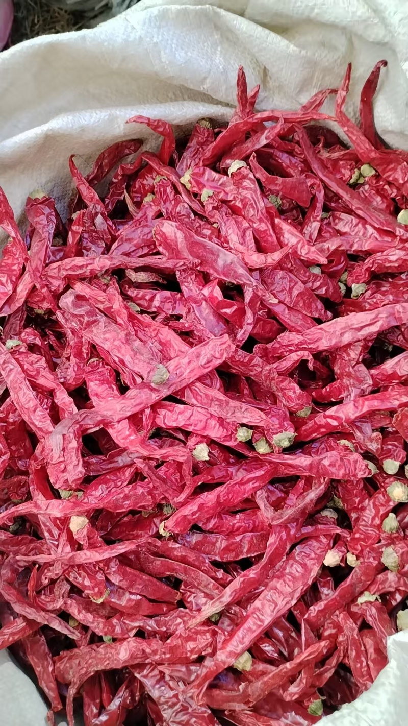 二荆条辣椒干辣椒精品发货规格齐全价格不一进店咨询