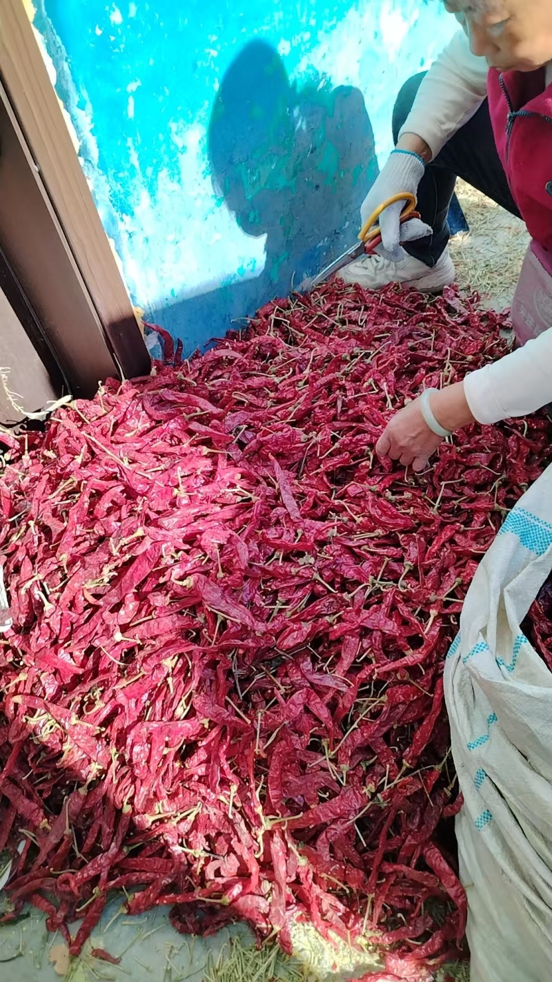 二荆条辣椒干辣椒精品发货规格齐全价格不一进店咨询