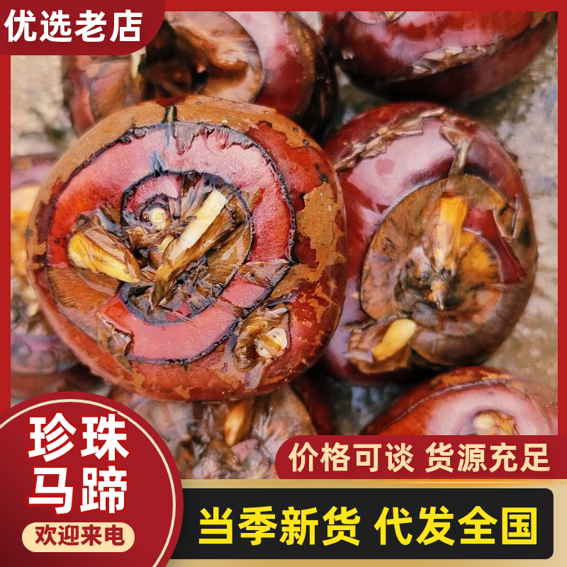 广西精品荸荠珍珠马蹄/入口化渣/供应商超电商/社区团购