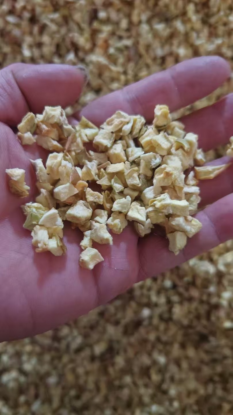 苹果丁，大量新鲜现货速发，产品保质保量欢迎老板选购