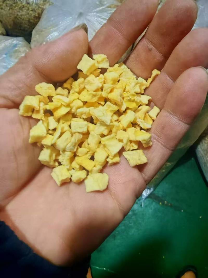 苹果丁，大量新鲜现货速发，产品保质保量欢迎老板选购