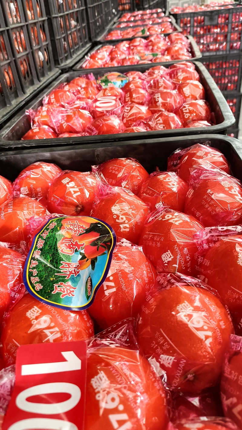 湖南湘西纽荷尔脐橙核心产区直供可按需配货欢迎来电