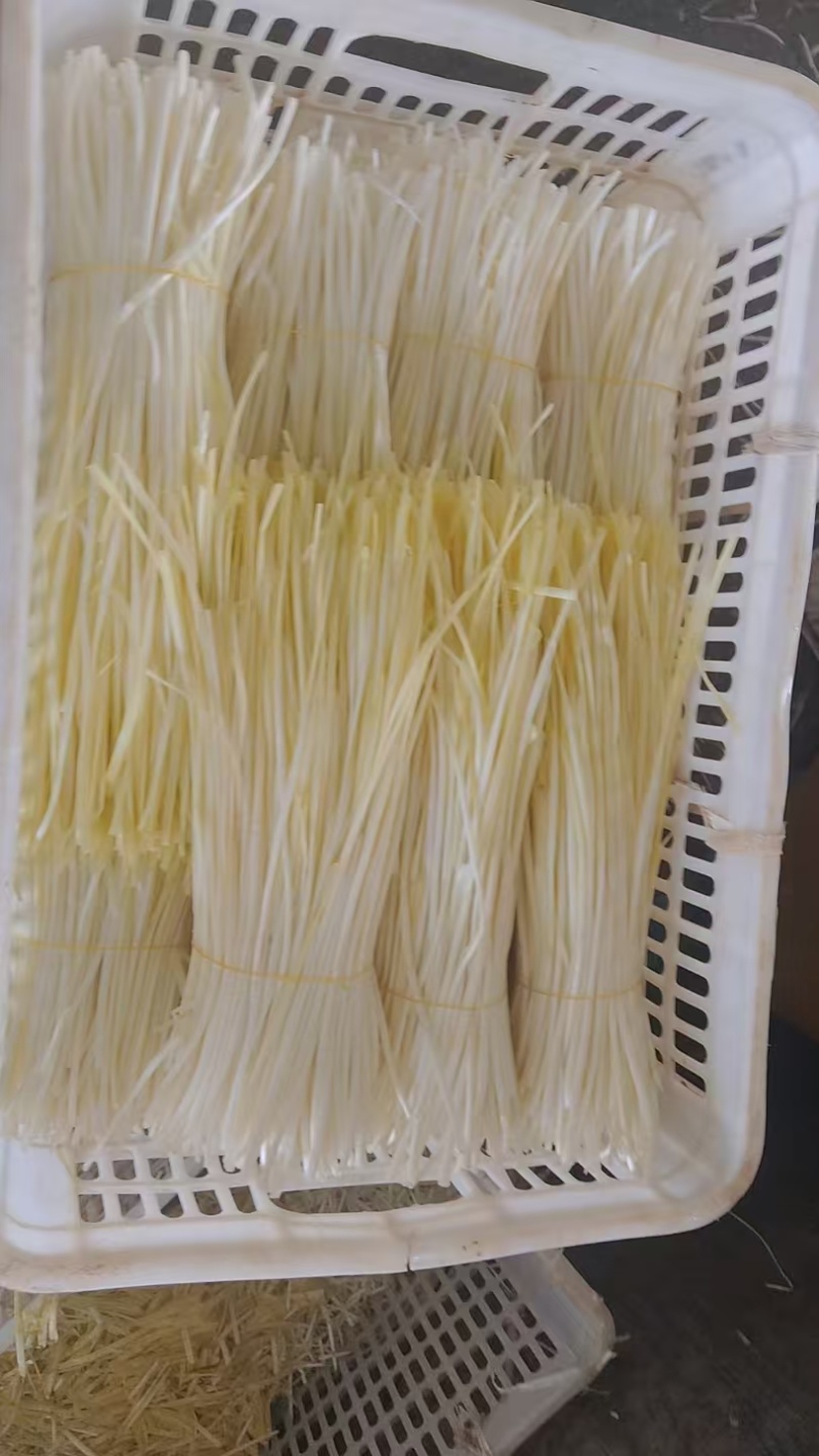 干韭黄大量供应，有需要的联系，可对接各大批发市场，电商商超等