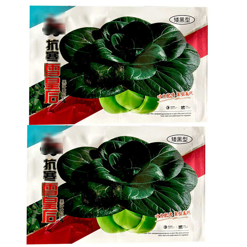 抗寒雪皇后大头苏州青种子特矮颗束腰青梗菜软糯肥厚油亮苏州