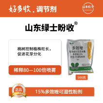 山东绿士盼收15%多效唑可湿性粉剂500克