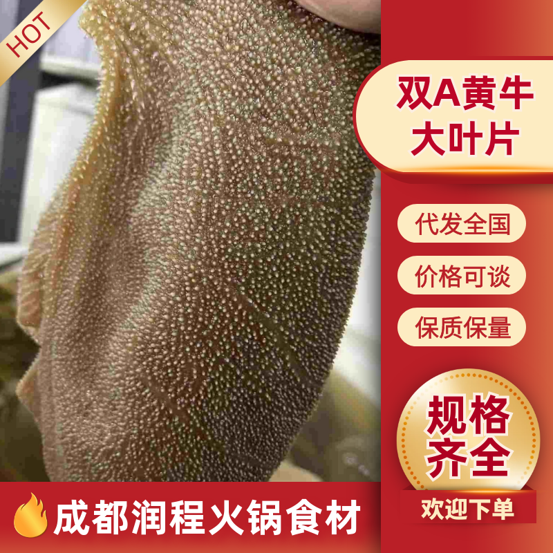 双A黄牛大叶片大量有货价格透明全国发货火锅必备