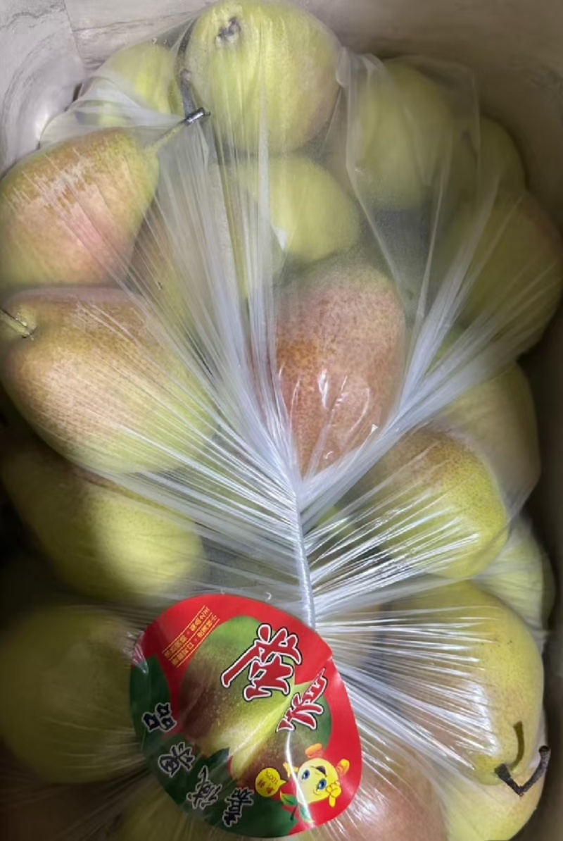 红香酥梨品质保证服务周到产地一手货源个头均匀皮薄肉