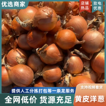 黄皮洋葱/精品货源/产地直发/全年供应链批发/欢迎来电