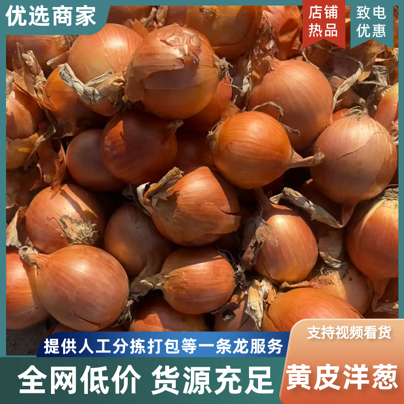 黄皮洋葱/精品货源/产地直发/全年供应链批发/欢迎来电