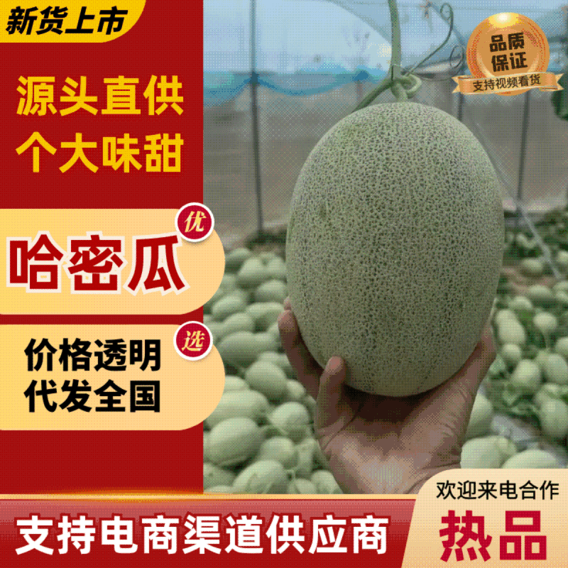 晓蜜25，西州蜜，产地，齁甜，电商，批发市场，社区团购，