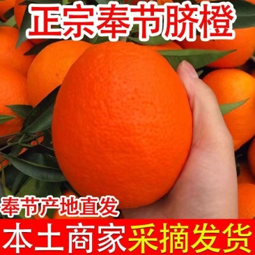 奉节脐橙，大量现货速发，新鲜美味量大从优欢迎选购