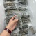 葫芦岛原产地即时海参大小规格都有全国发货真空包装泡沫箱等