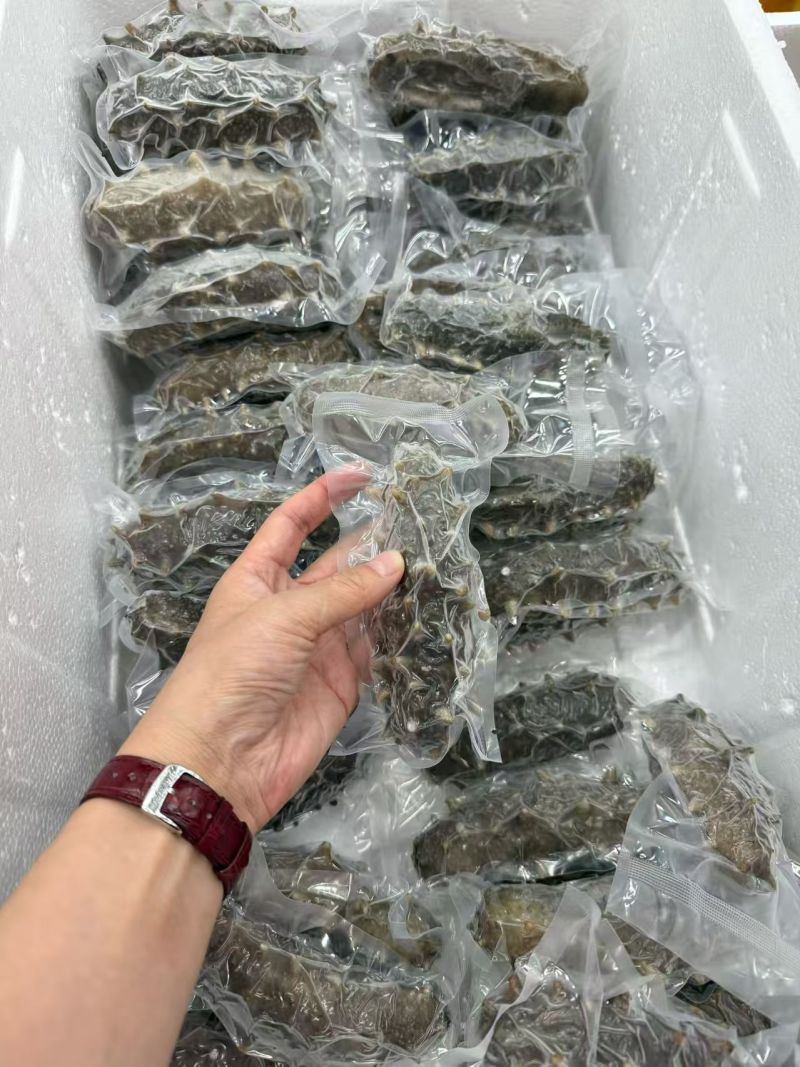 葫芦岛原产地即时海参大小规格都有全国发货真空包装泡沫箱等