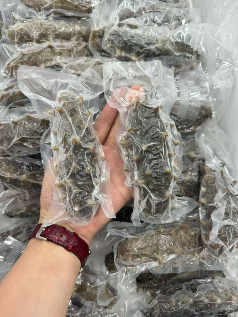 葫芦岛原产地即时海参大小规格都有全国发货真空包装泡沫箱等