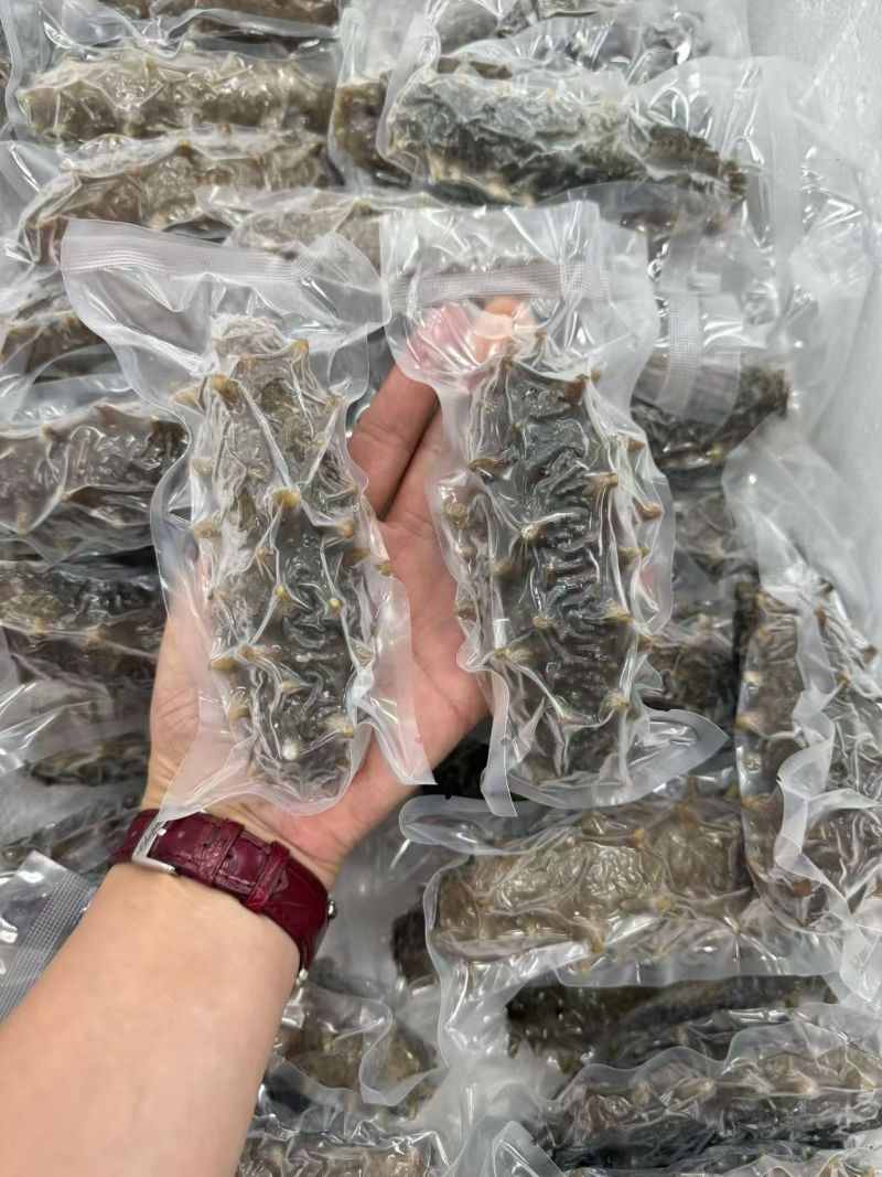 葫芦岛原产地即时海参大小规格都有全国发货真空包装泡沫箱等