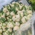 松花菜贵州菜花产地一手货源规格齐全，可视频看货，代发全国