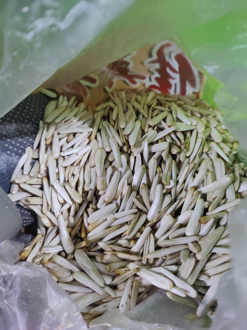 电商精品白牙签瓜子批发一件代发价格便宜质量保证超多回头客