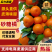 【万人好评】砂糖橘广西砂糖橘产地直发皮薄多汁代发全国