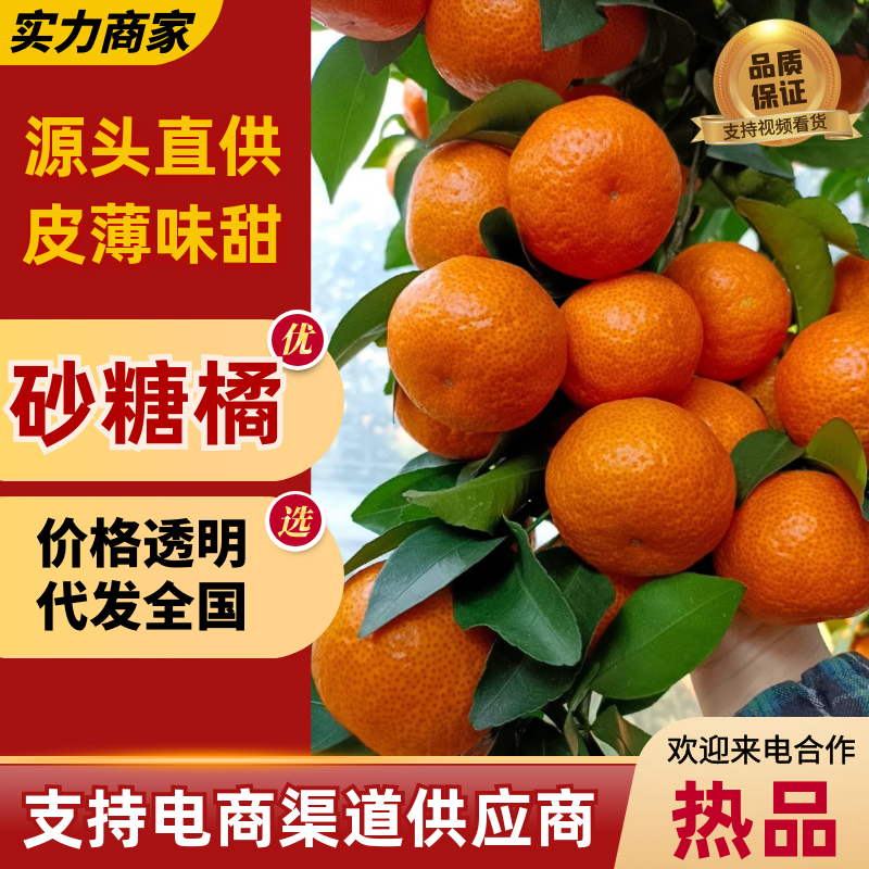 【万人好评】砂糖橘广西砂糖橘产地直发皮薄多汁代发全国