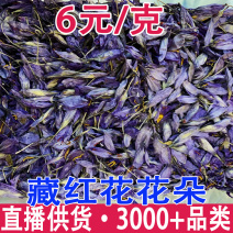 泊夫兰藏红花藏红花花苞藏红花花朵藏红花