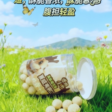 夏威夷果仁（益生菌）奶香味味炒货零食休闲食品