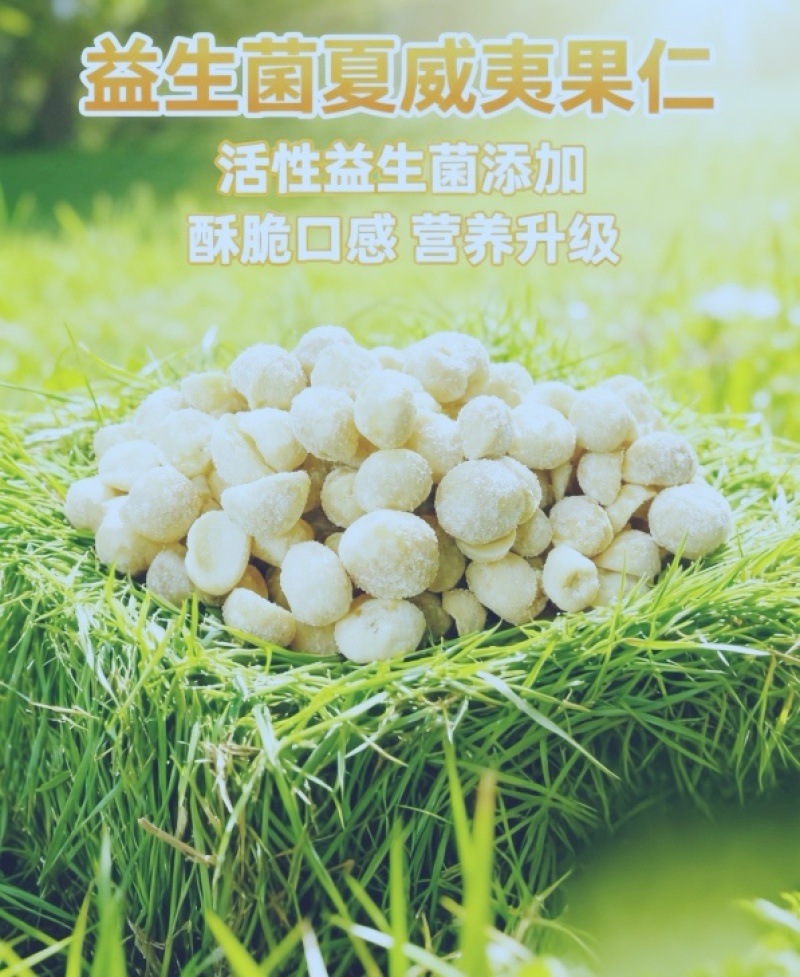 夏威夷果仁（益生菌）奶香味味炒货零食休闲食品