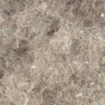 精选椰毛椰糠广东基地直供货源充足质量保证全国发货