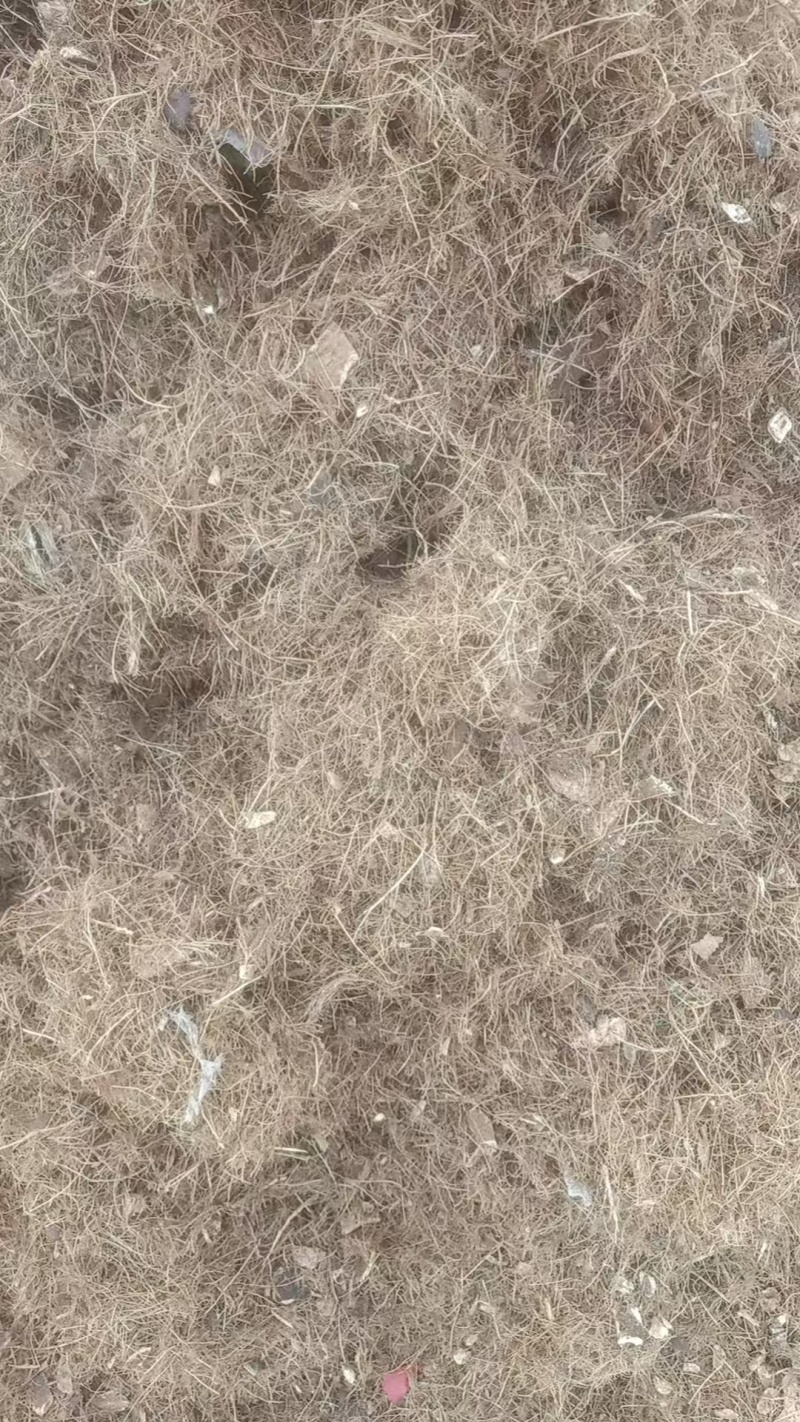 精选椰毛椰糠广东基地直供货源充足质量保证全国发货