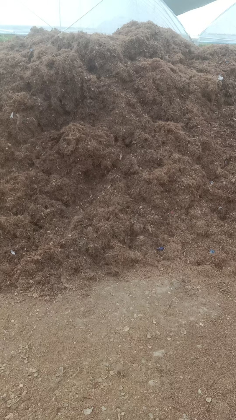 精选椰毛椰糠广东基地直供货源充足质量保证全国发货