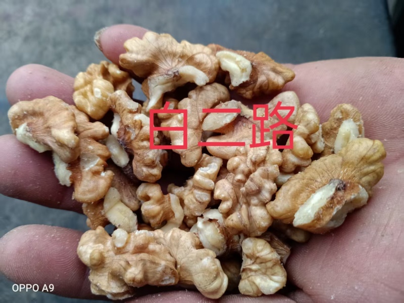 山西核桃仁大四路/白三/米四路规格齐全欢迎咨询合作